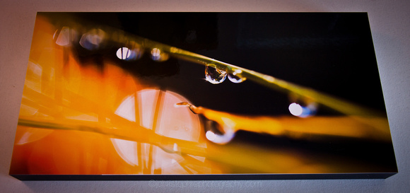 IMAGE: Infusion | 10" x 20" Standout Mount | Metallic Paper Print