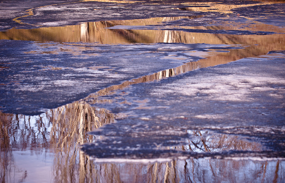 icy reflections